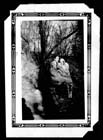 02.bud_is_woods