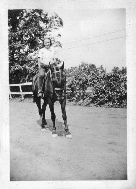08.is_horse2